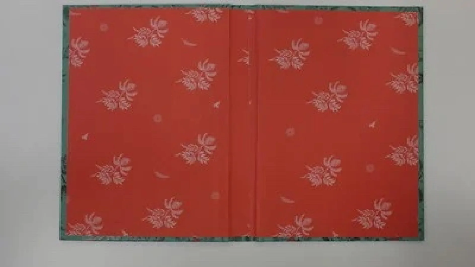 Ein offenes Buch mit korallenfarbenen Vorsatzblättern mit einem Muster aus weißen Blumenmotiven. Die Vorsatzblätter sind von einer grünen Bordüre mit einem dezenten Blättermuster eingerahmt. Das Buch liegt auf einer hellen Unterlage. (This text has been generated by AI)