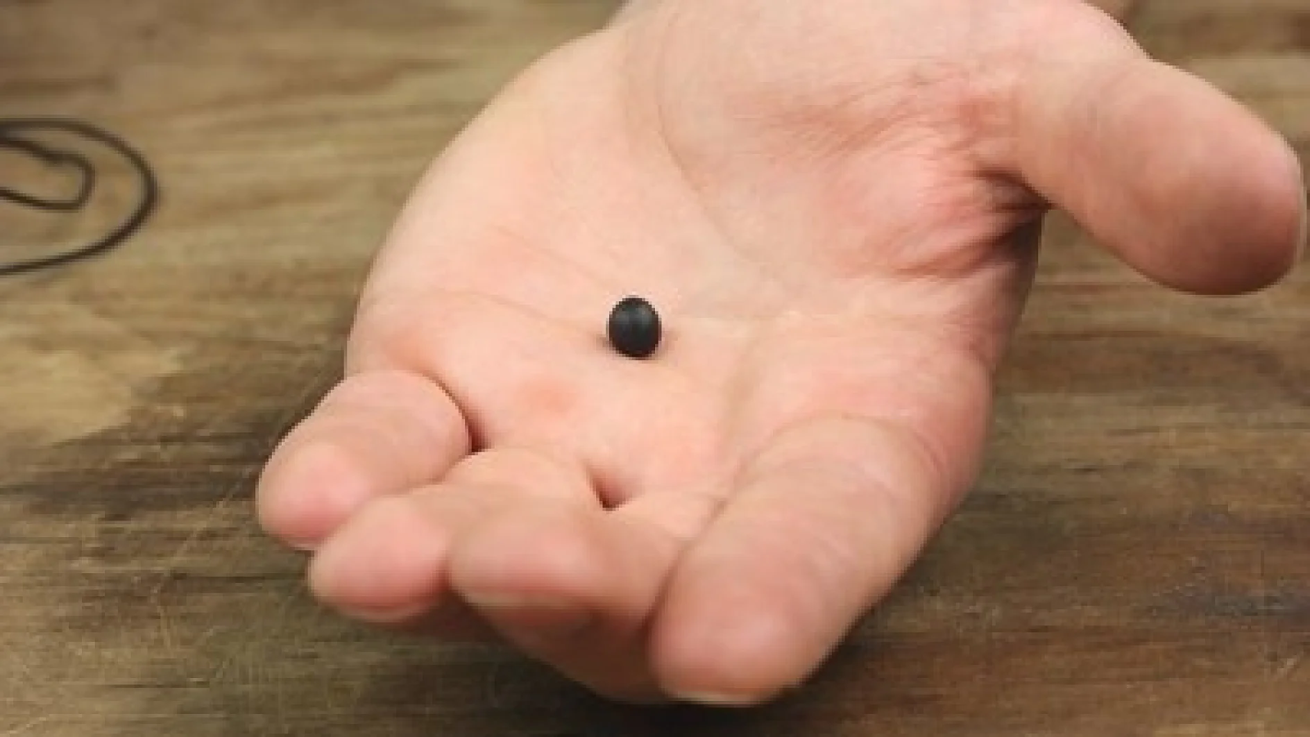 Dargestellt ist eine geöffnete Hand mit der Handfläche nach oben, die ein kleines schwarzes kugelförmiges Objekt hält, das mit Tesaband befestigt ist. Der Hintergrund ist eine Holzoberfläche. (This text has been generated by AI)