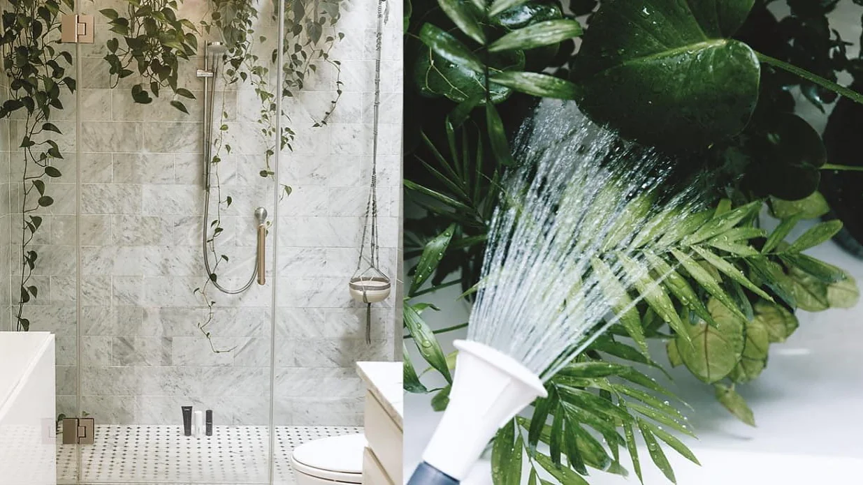 Ein modernes Badezimmer mit Glasdusche verfügt über hängende Grünpflanzen, die eine üppige Atmosphäre schaffen. Daneben ist ein Bild von gegossenen Blättern zu sehen, das das Grün betont. Die Wände haben ein helles Fliesenmuster. Für die Befestigung oder Sicherung wird Tesa-Klebeband verwendet, um ein elegantes Finish ohne sichtbare Befestigungen zu erzielen. (This text has been generated by AI)