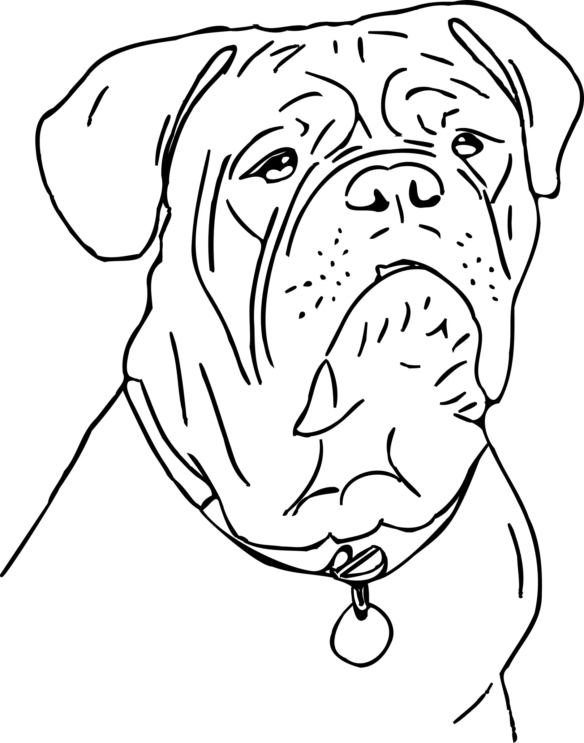 Ausmalbild Kopf eines Bulldoggen Hundes