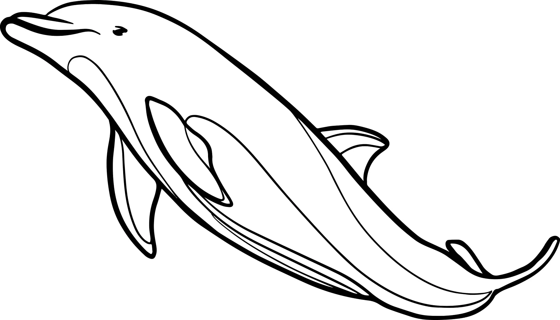 Ausmalbild langer Delfin seitlich
