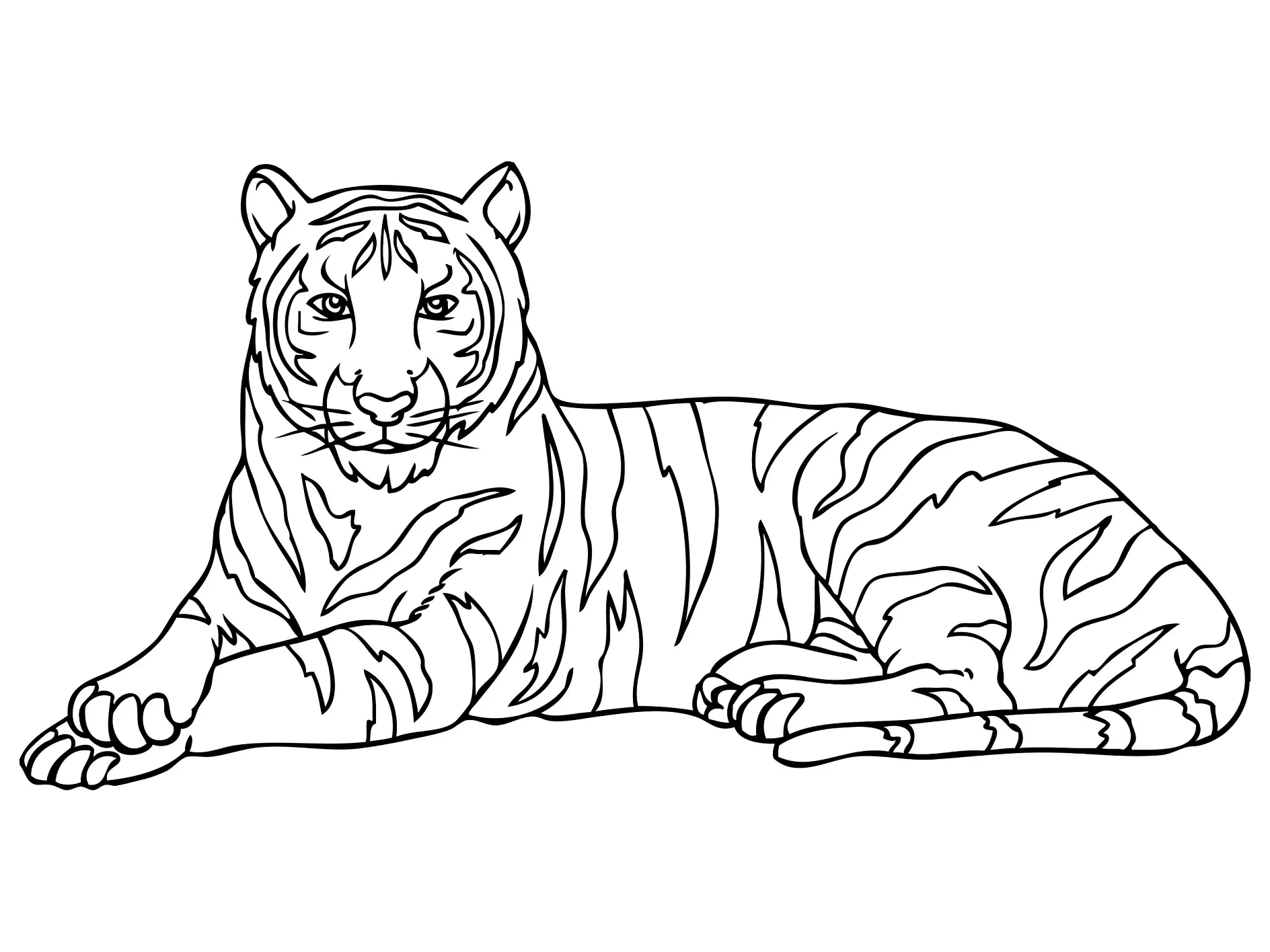 Ausmalbild Tiger Liegend Entspannt