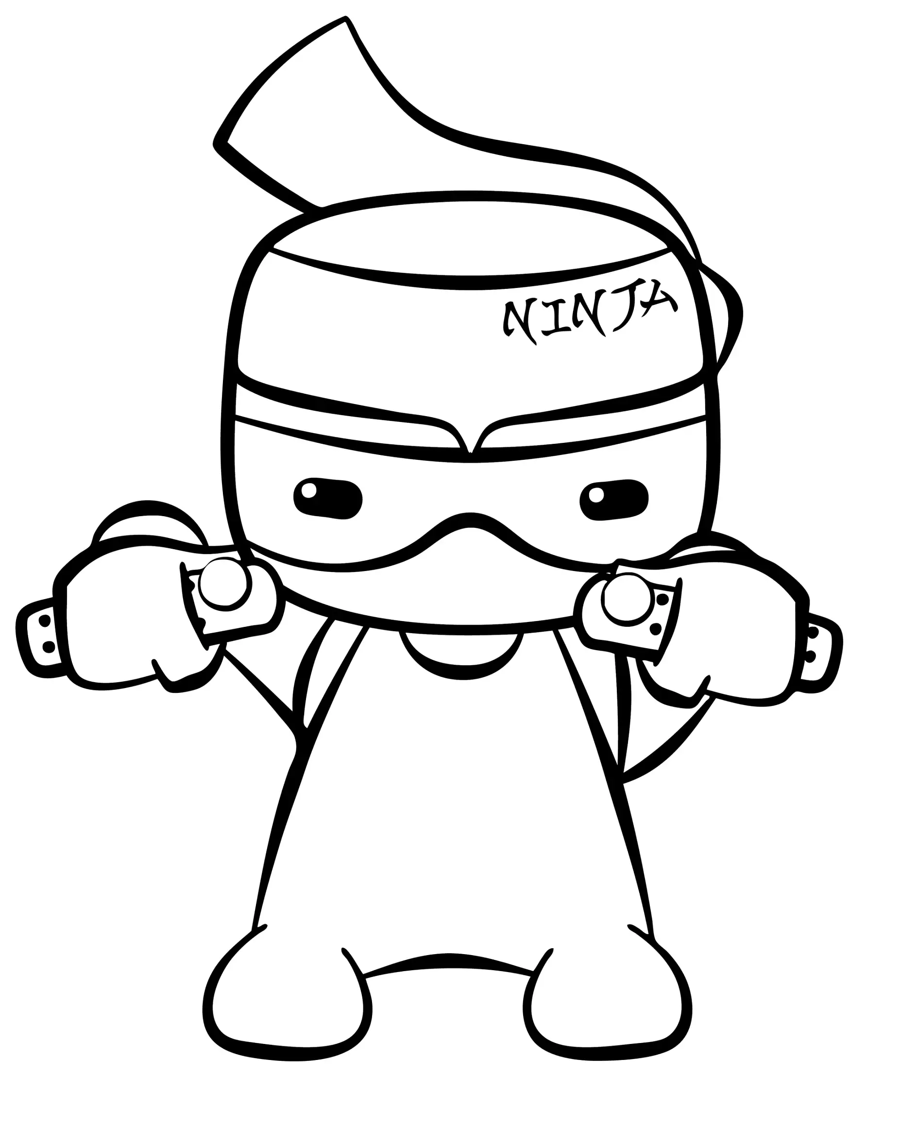 ninja (4)