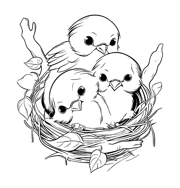 Vogel Malvorlagen: Ausmalbilder für Tierfreunde