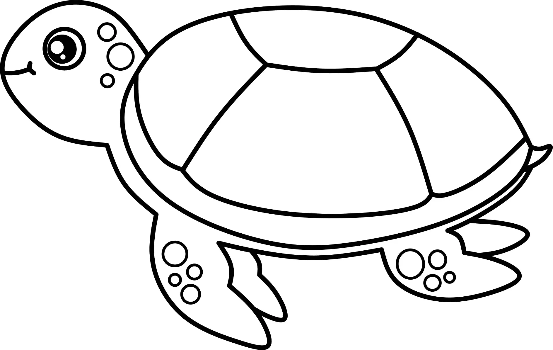 Ausmalbild Einfache Schildkröte mit großen Augen