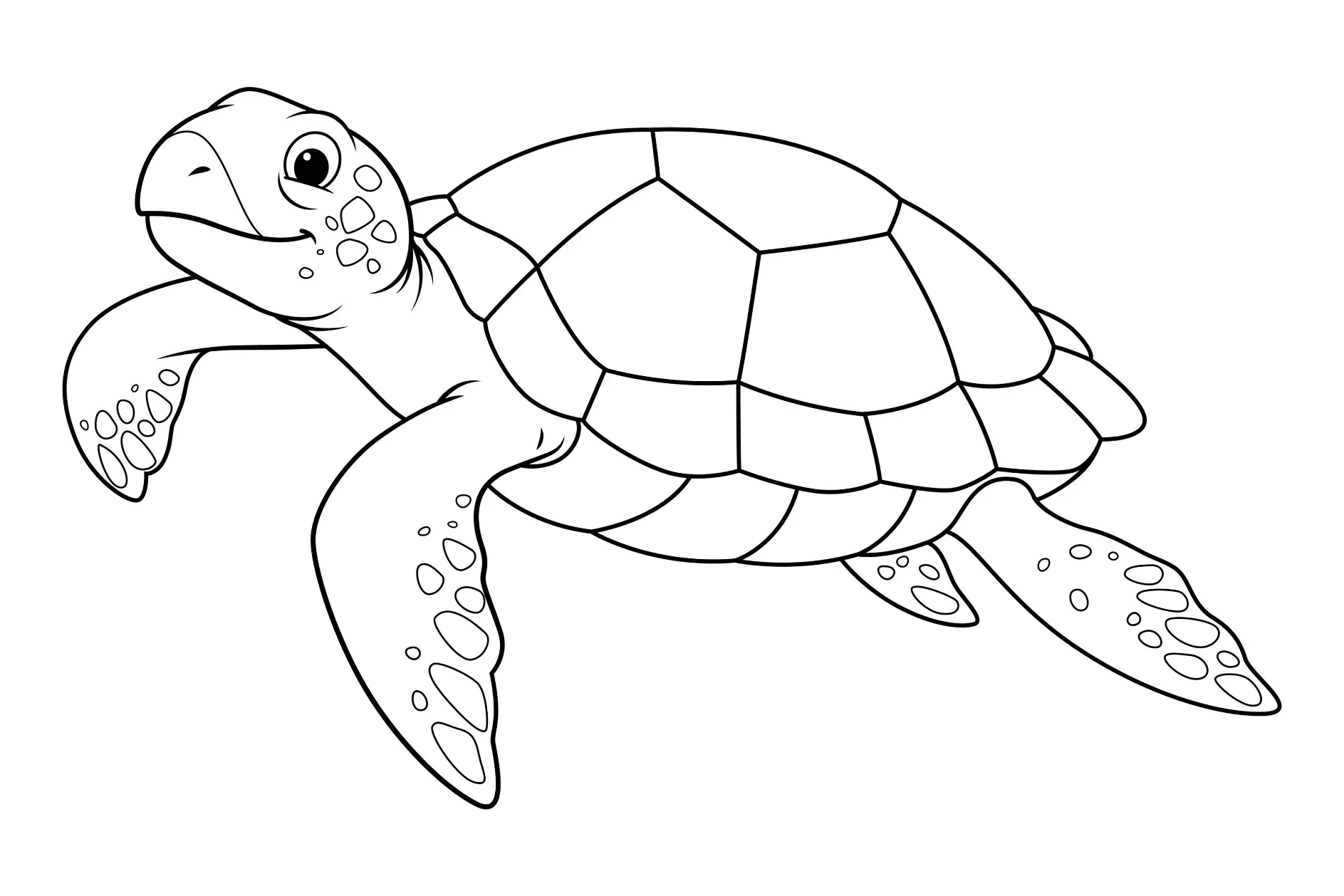 Ausmalbild Meeresschildkröte mit Mustern