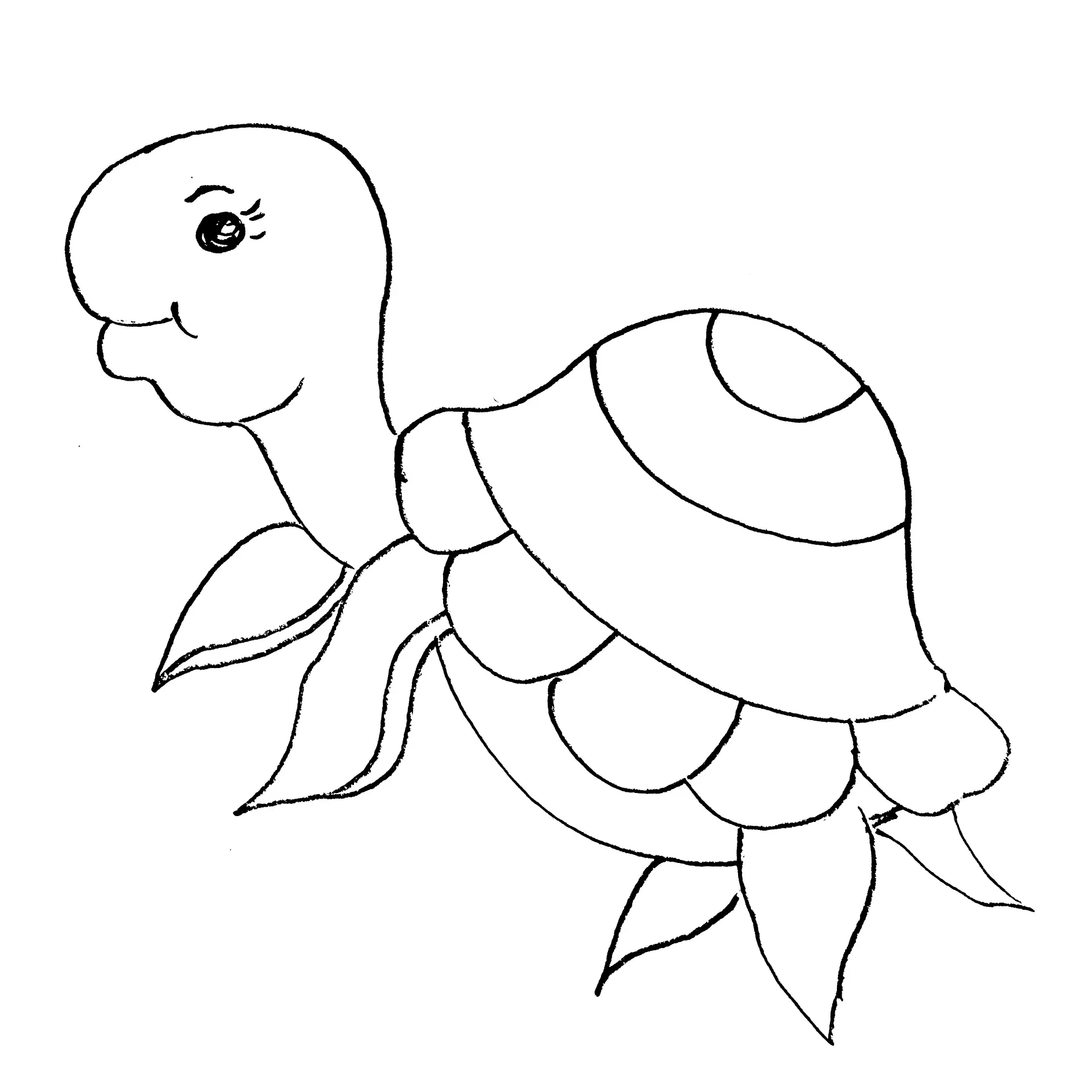 Ausmalbild Schildkröte mit großen Augen und Mustern