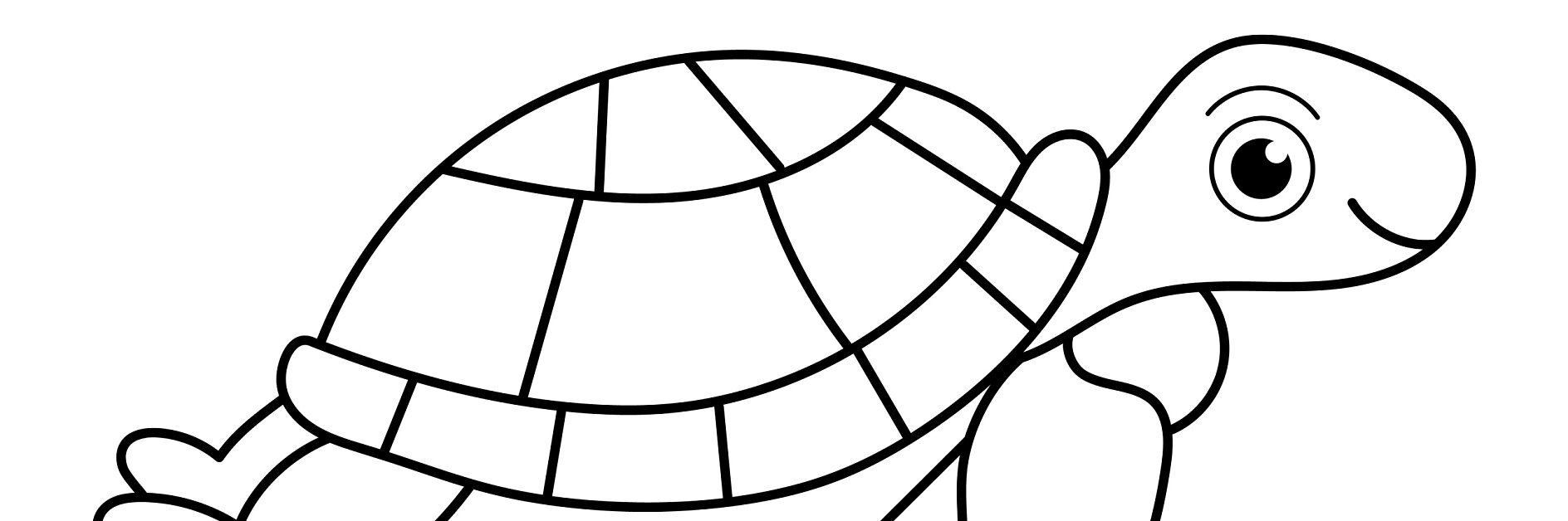 Schildkröte Malvorlage Kostenlos