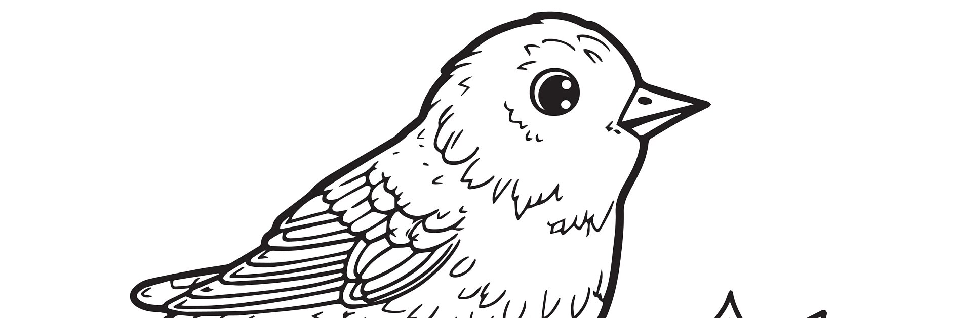 Vogel Malvorlagen: Ausmalbilder für Tierfreunde