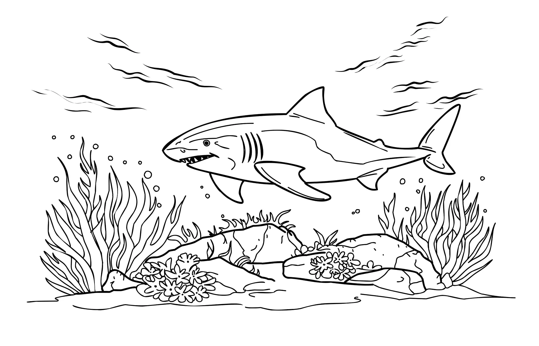 Ausmalbild Hai mit Korallen und Wasserpflanzen