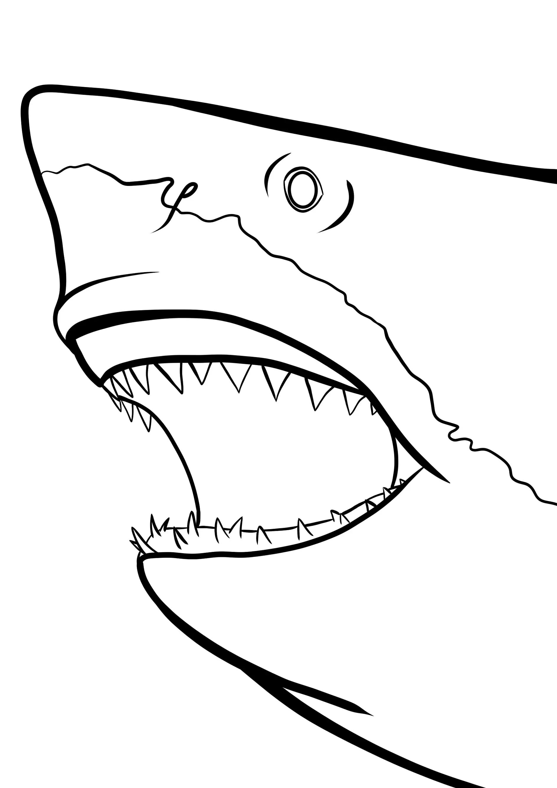 Ausmalbild Nahaufnahme Hai Gesicht