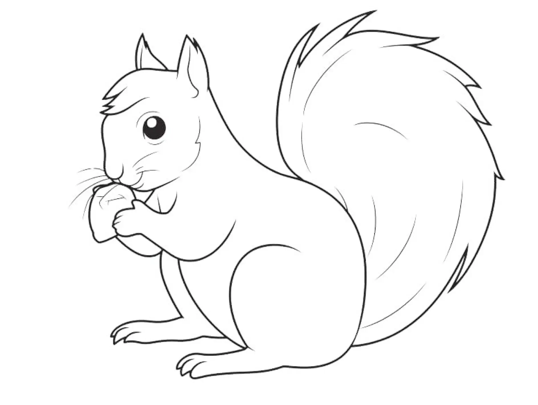 Ausmalbild Eichhörnchen isst Nuss