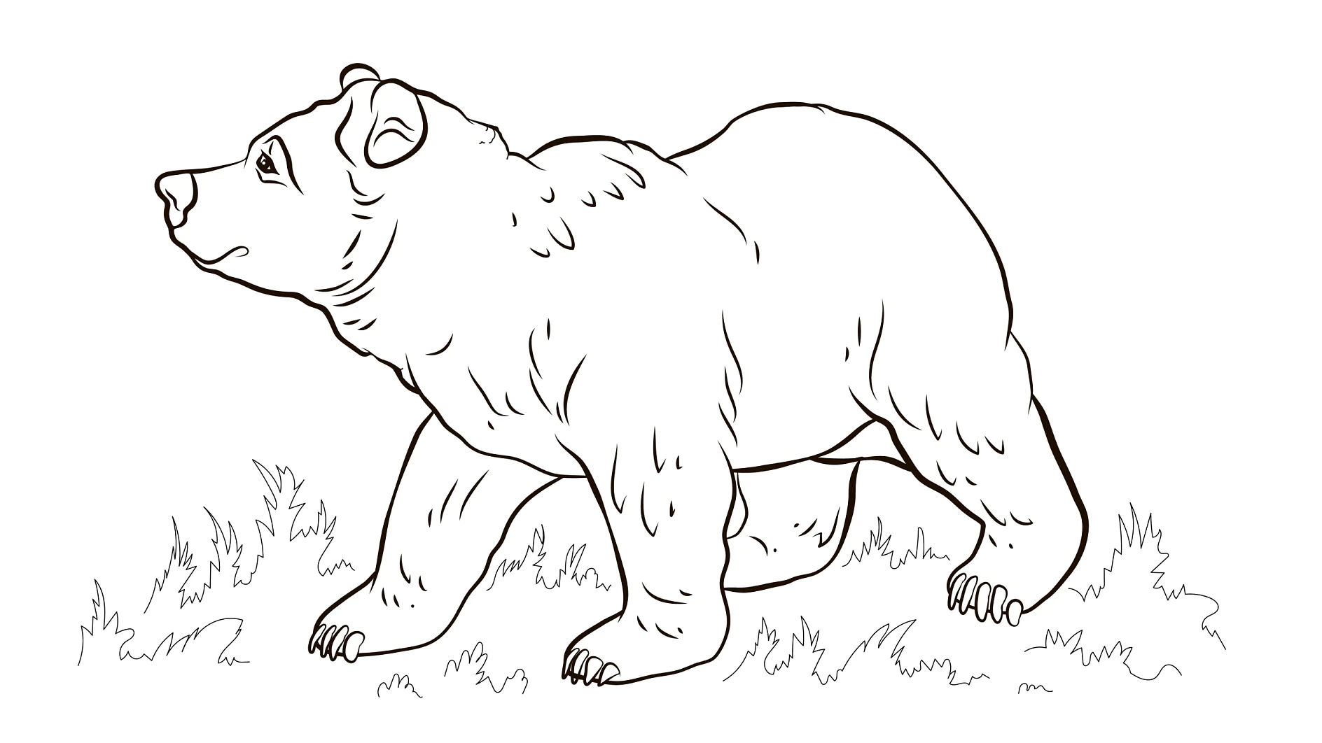 Vorlage Tiger schreitet vorsichtig zum Ausmalen - tesa