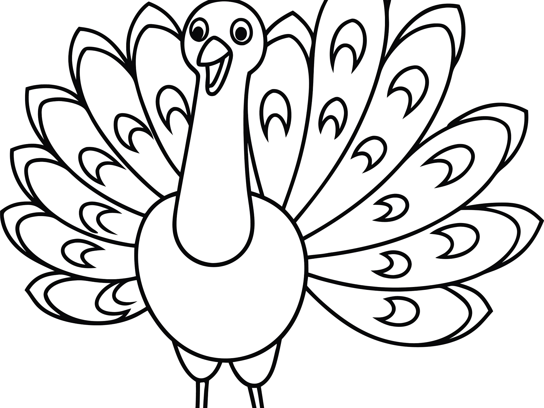 Einfach gezeichneter Pfau, der stolz seine Federn präsentiert.