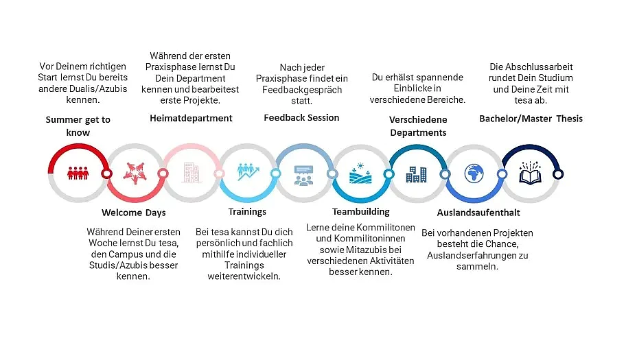 ablauf-duales-studium-de-website-2,11508783_crop16x9_9 Eine Infografik, die ein Praktikumsprogramm mit acht Phasen detailliert beschreibt: Sommer-Kennenlernprogramm, Welcome Days, Heimatdepartment, Trainings, Feedback-Sitzung, Teambuilding, verschiedene Abteilungen, Auslandsaufenthalt und Bachelor-/Masterarbeit. (This text has been generated by AI)