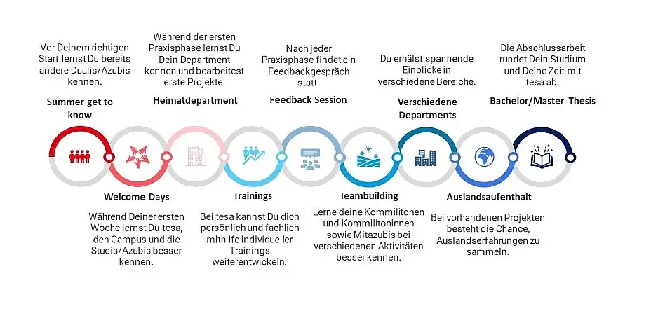Eine Infografik, die ein Praktikumsprogramm mit acht Phasen detailliert beschreibt: Sommer-Kennenlernprogramm, Welcome Days, Heimatdepartment, Trainings, Feedback-Sitzung, Teambuilding, verschiedene Abteilungen, Auslandsaufenthalt und Bachelor-/Masterarbeit. (This text has been generated by AI)