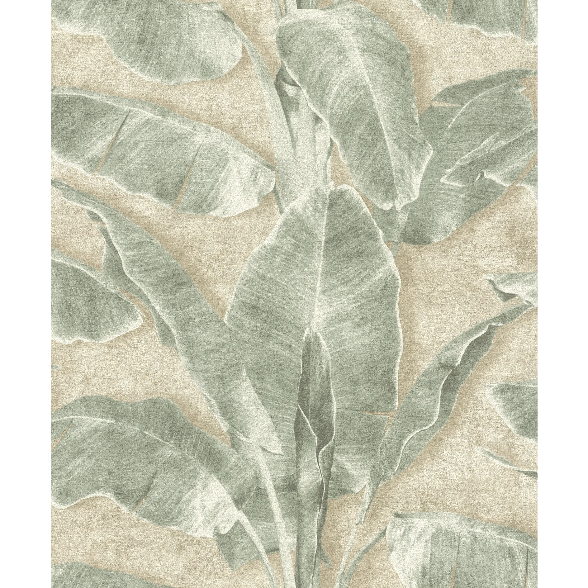 tesa_rasch_4000441371727_73017-00000-00_pr