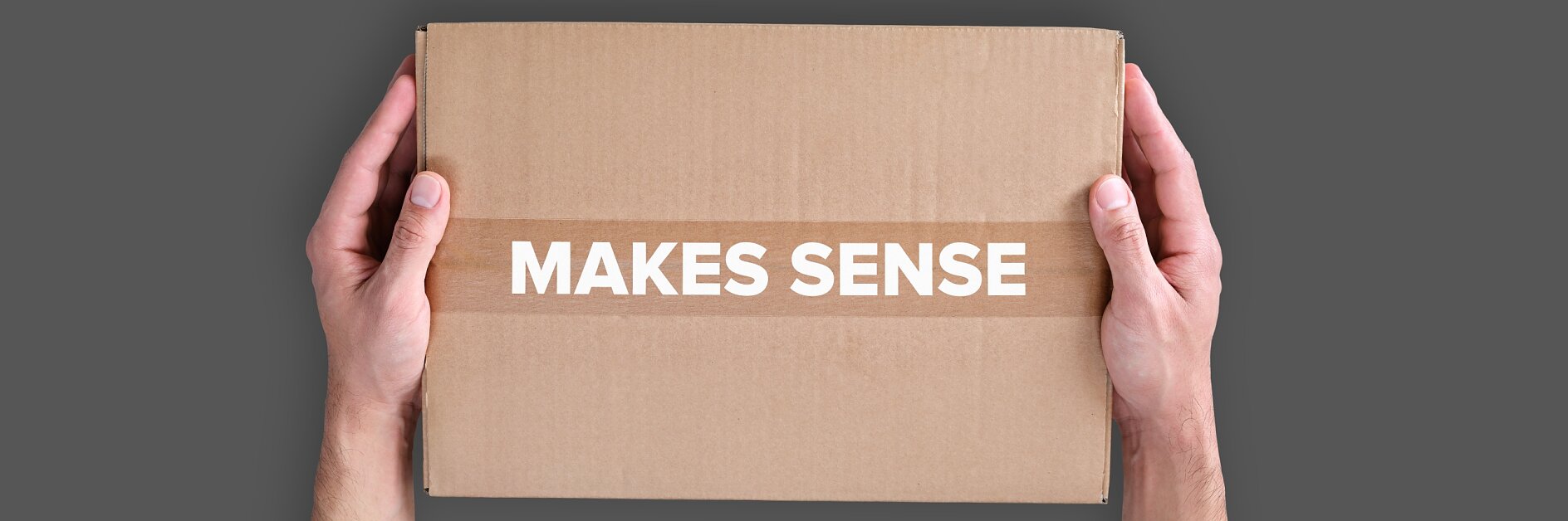 Two hands are holding a closed cardboard box against a gray background. The box has the phrase MAKES SENSE printed on it in white capital letters, sealed with tesa tape.