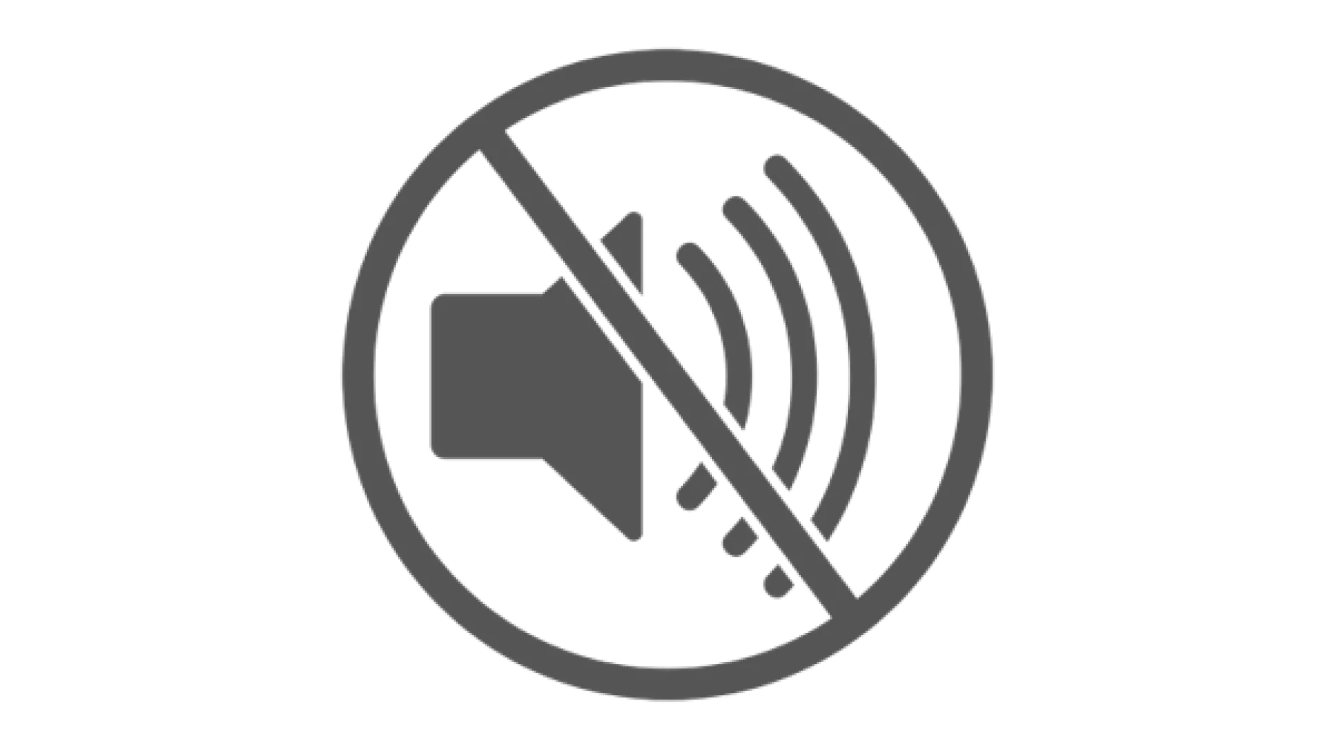 A gray icon of a speaker with sound waves is crossed out with a diagonal line, indicating a mute or no sound symbol. (This text has been generated by AI)