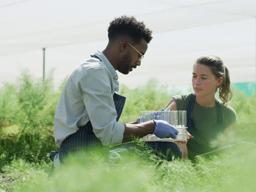 03_video_rethink materials