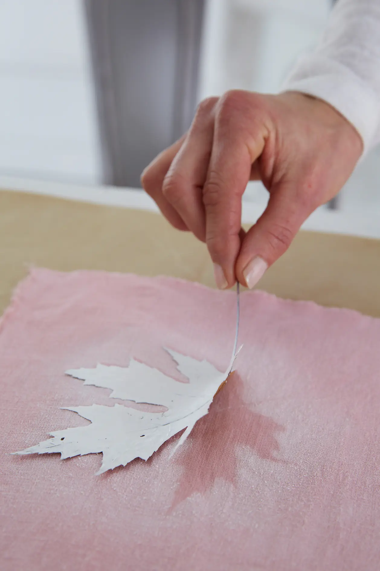 Removing the leaves. Then, drying phase.