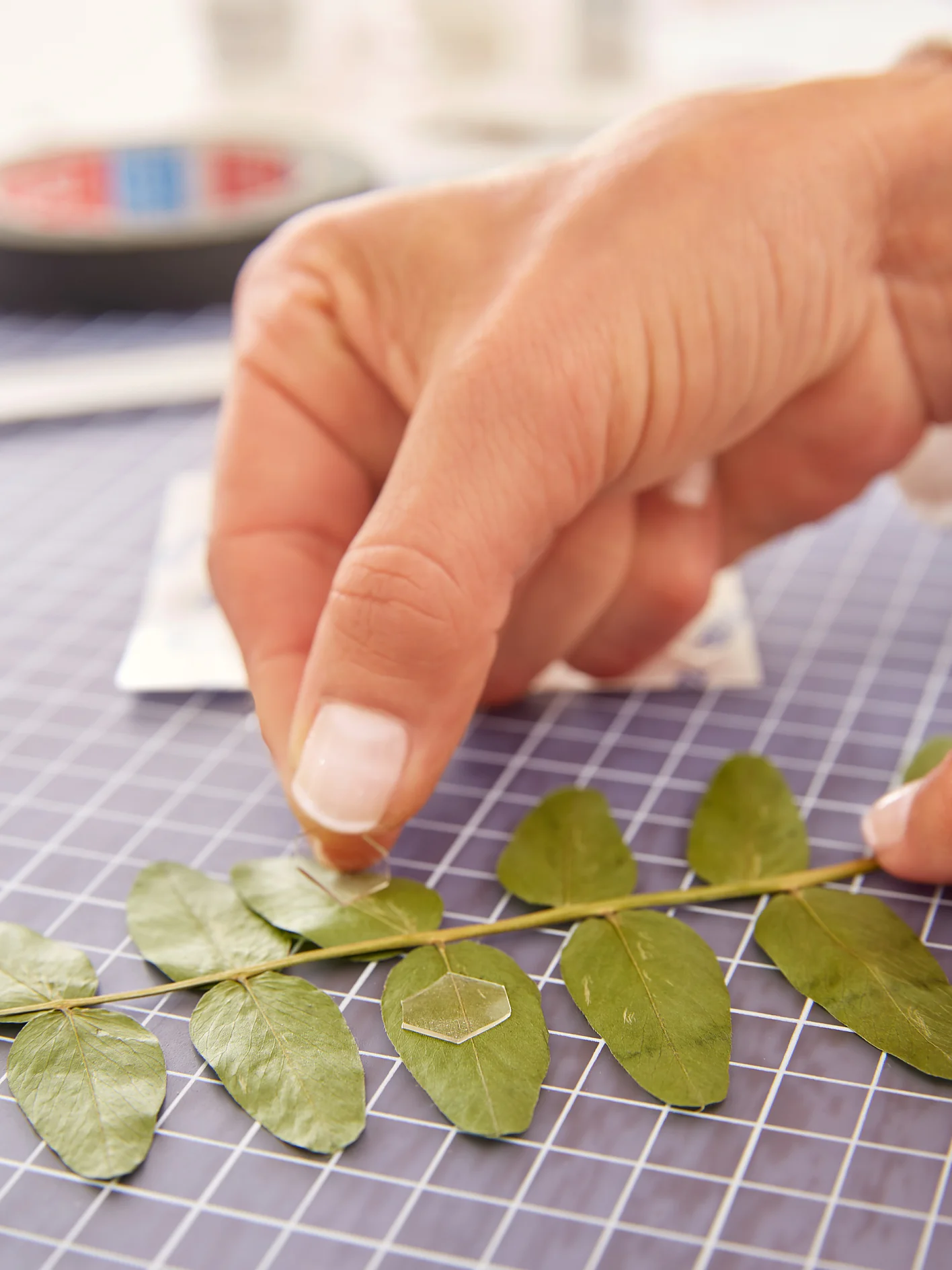 Using tesa TACK to stick Leaves