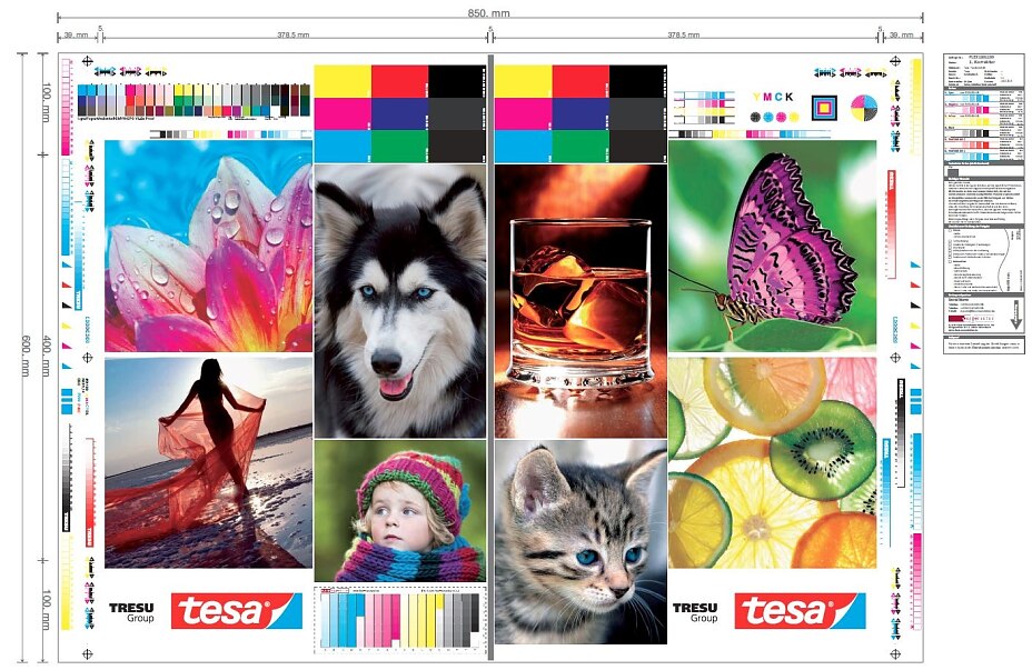 tesa® TRESU Print Sample tesa® TRESU Print Sample