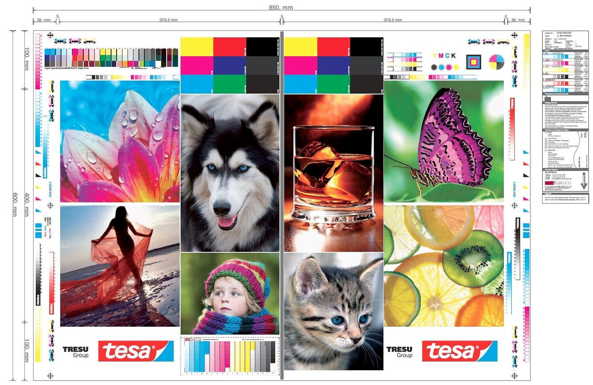 tesa® TRESU Print Sample tesa® TRESU Print Sample