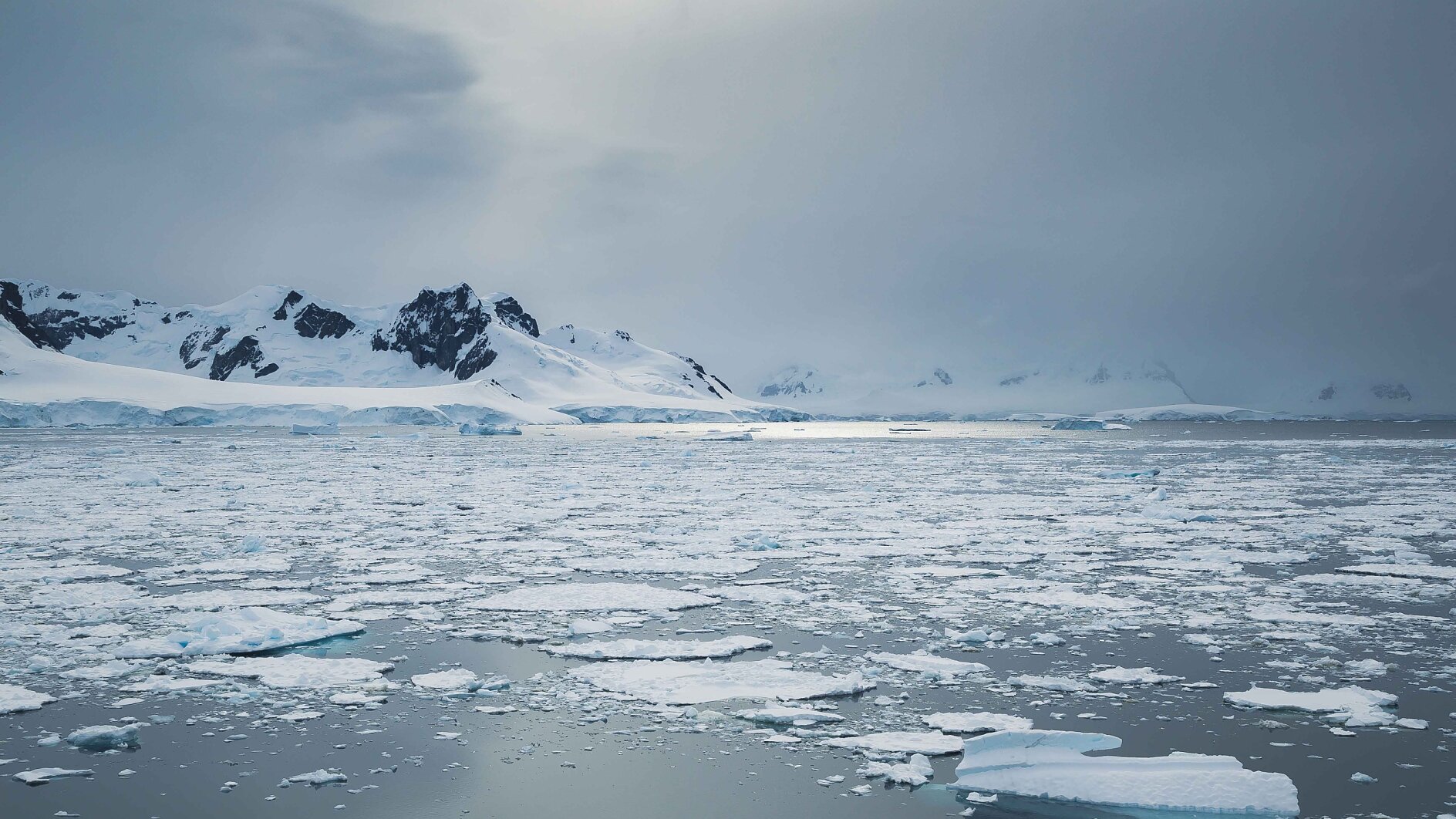 A snowy, mountainous landscape is visible in the distance under a gray, overcast sky. In the foreground, floating ice fragments are scattered across a calm body of water. (This text has been generated by AI)