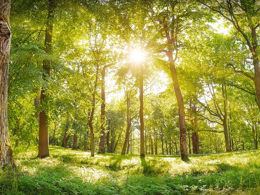 For Our Environment For Our Environment