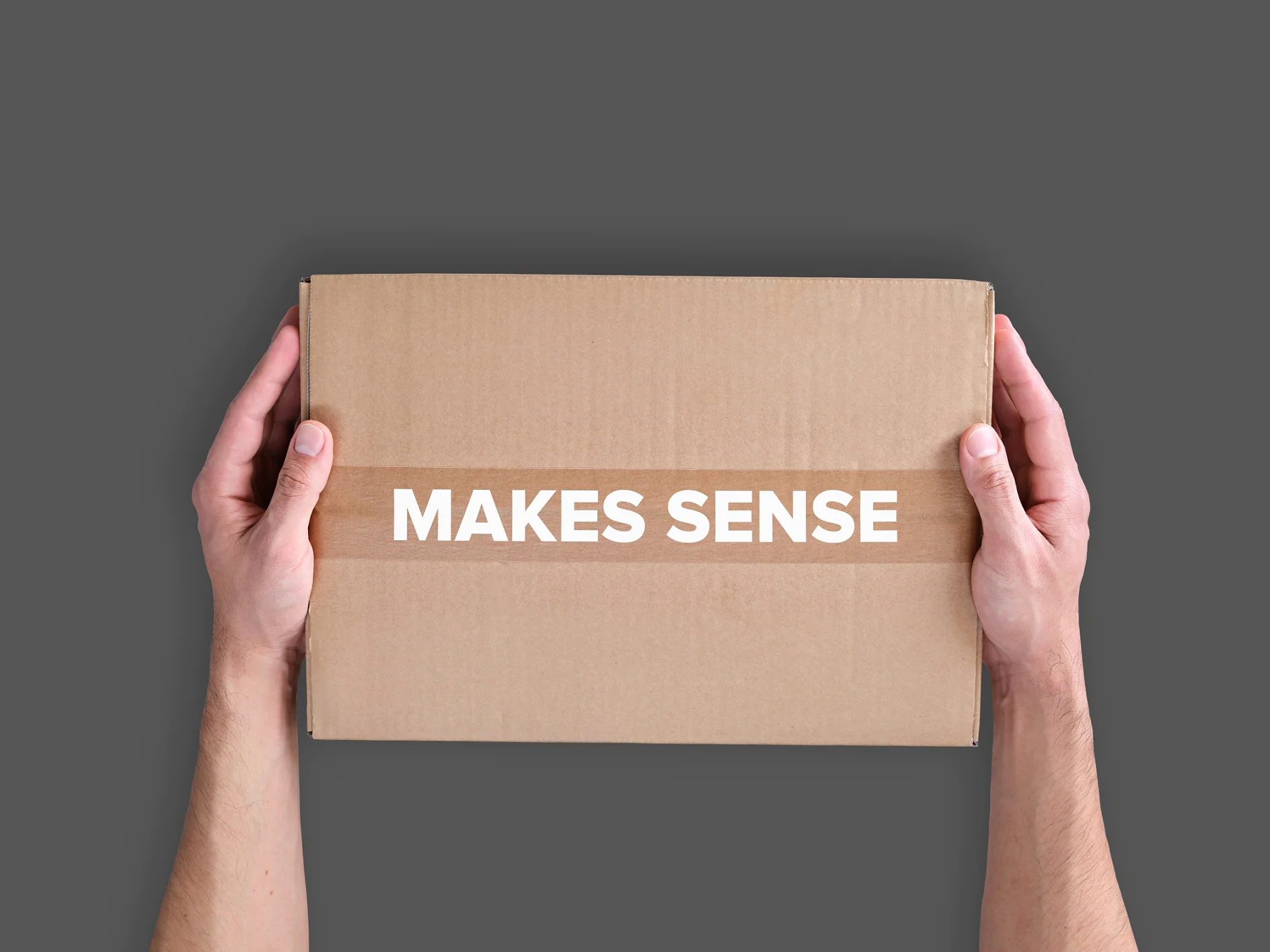 Two hands are holding a closed cardboard box against a gray background. The box has the phrase MAKES SENSE printed on it in white capital letters, sealed with tesa tape. (This text has been generated by AI)
