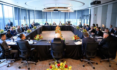 Federal President Frank-Walter Steinmeier (M) takes part in a round table with representatives of the German and Malaysian business communities. Federal President Steinmeier and his wife are visiting the countries of Cambodia and Malaysia during a five-day trip to Southeast Asia. 
Picture credits picture alliance/dpa | Bernd von Jutrczenka