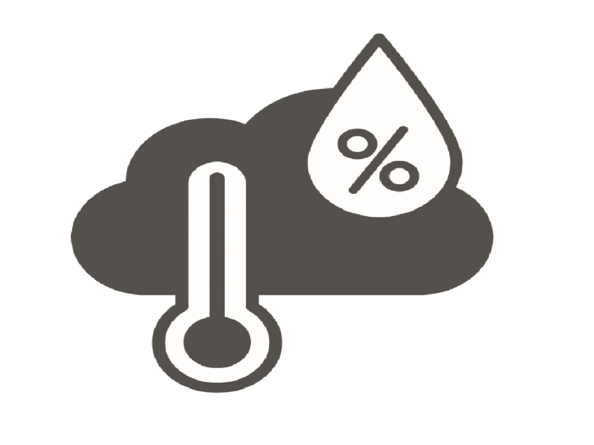 Icon of a cloud with a thermometer and a drop of water containing a percentage symbol. It represents weather conditions, temperature, and humidity. (This text has been generated by AI)