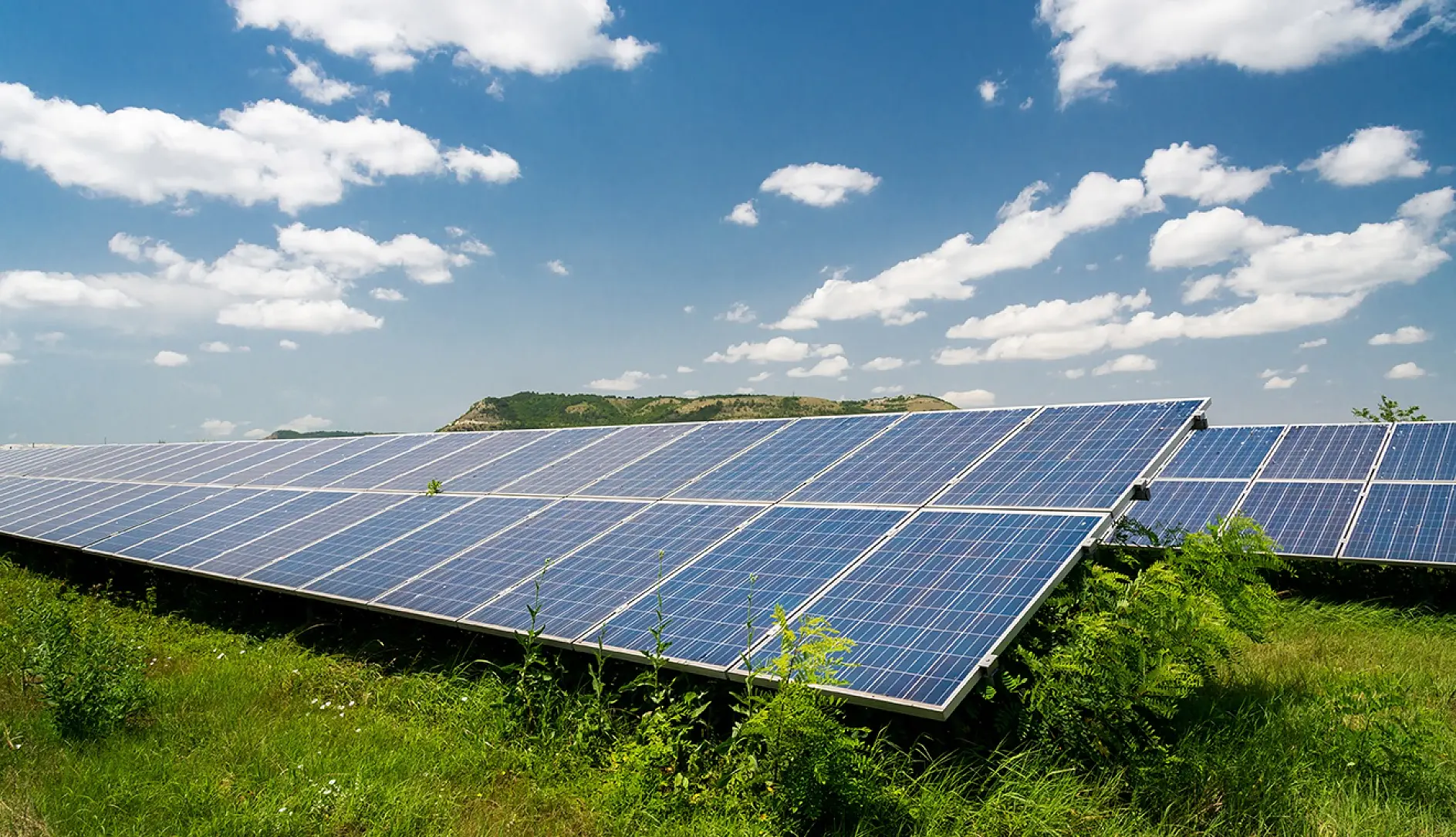 A large array of solar panels situated in a grassy field under a blue sky with scattered white clouds. There are hills in the background, and the panels are oriented towards the sun.