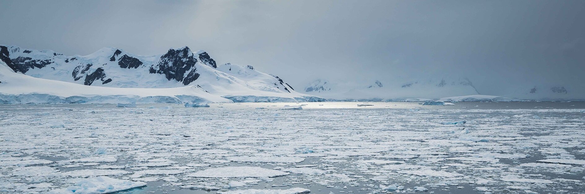 A snowy, mountainous landscape is visible in the distance under a gray, overcast sky. In the foreground, floating ice fragments are scattered across a calm body of water.