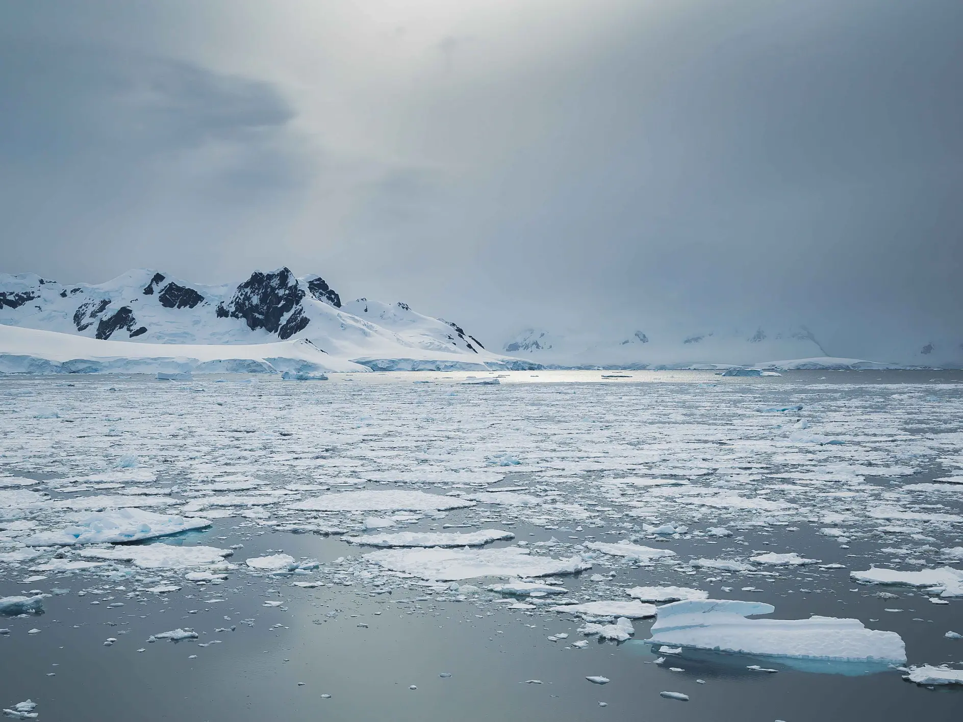 A snowy, mountainous landscape is visible in the distance under a gray, overcast sky. In the foreground, floating ice fragments are scattered across a calm body of water. (This text has been generated by AI)