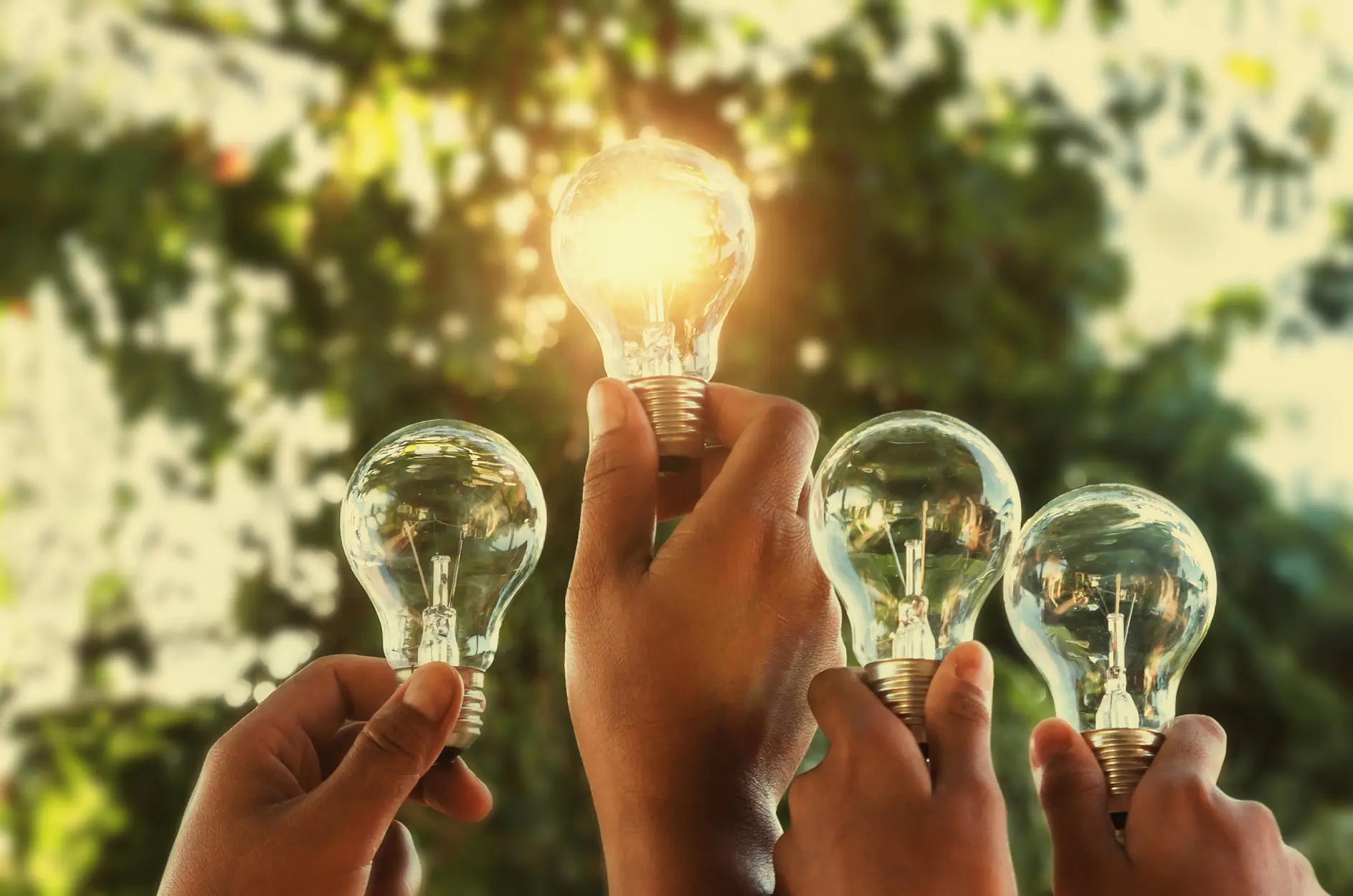 Four hands holding incandescent light bulbs, with one bulb lit, securely fastened using tesa tape, against a green, leafy background. The lit bulb stands out, symbolizing innovation or idea generation.