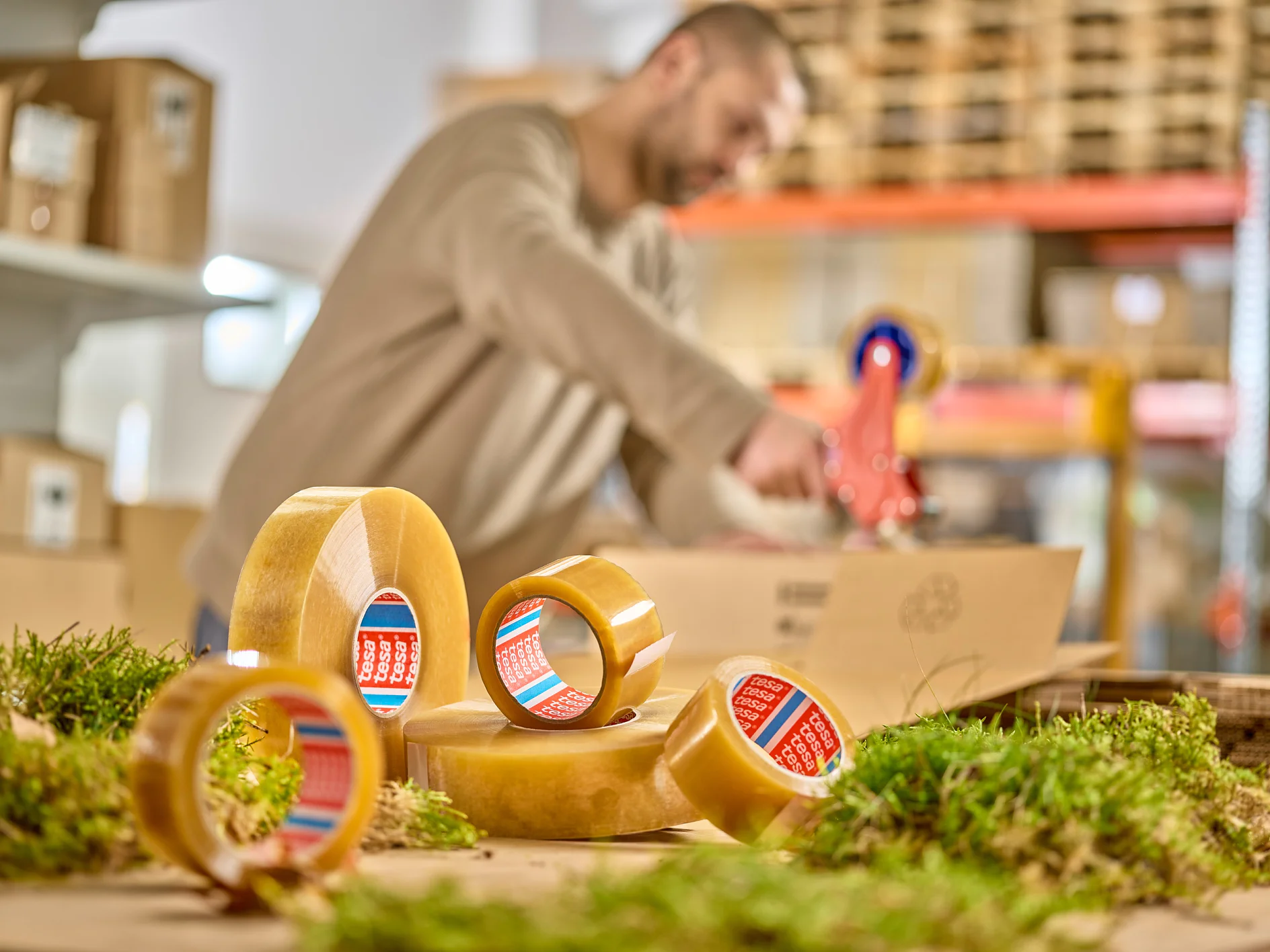 A person in a beige sweater is using a tesa tape dispenser in a warehouse setting. Several rolls of tesa tape are in the foreground, surrounded by patches of greenery. Shelves with boxes and pallets are visible in the background. (This text has been generated by AI)