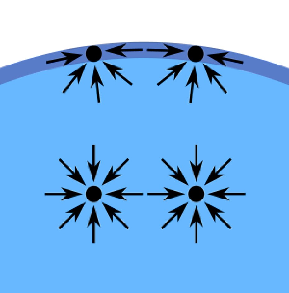 water-molecules-creating-surface The cohesive forces - meaning the (inner) attraction - between liquid molecules are creating the phenomenon called "surface tension". The molecules at the surface of a glass of water for example do not have other water molecules on all sides of them. So they are attracted to the inside of the water, they cohere more strongly to the water molecules next to and below them. This attraction is higher than that to the air molecules above them. At the end, this inner force creates the surface that separates water and air.