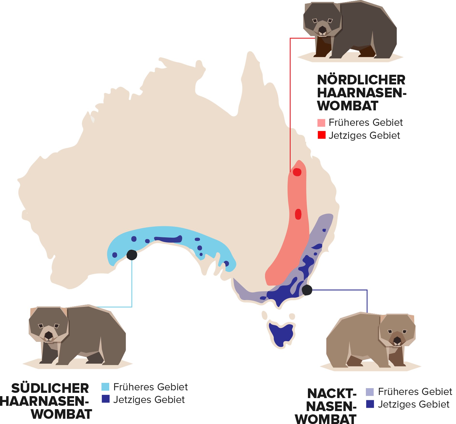 Wombat map Wombat map