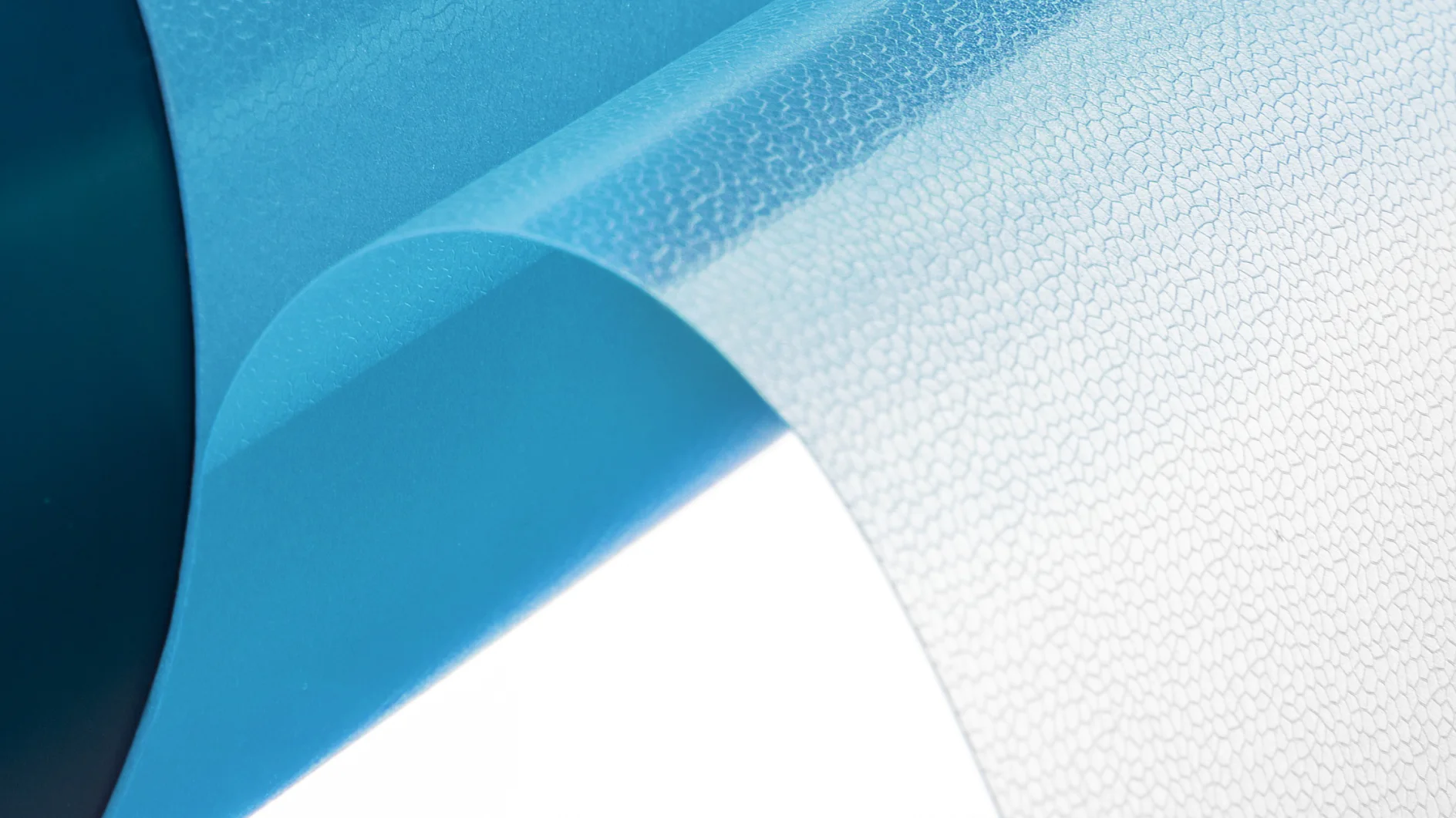 tesa® Softprint Flex EA liner open blue_cropped tesa® Softprint Flex EA liner open blue_cropped