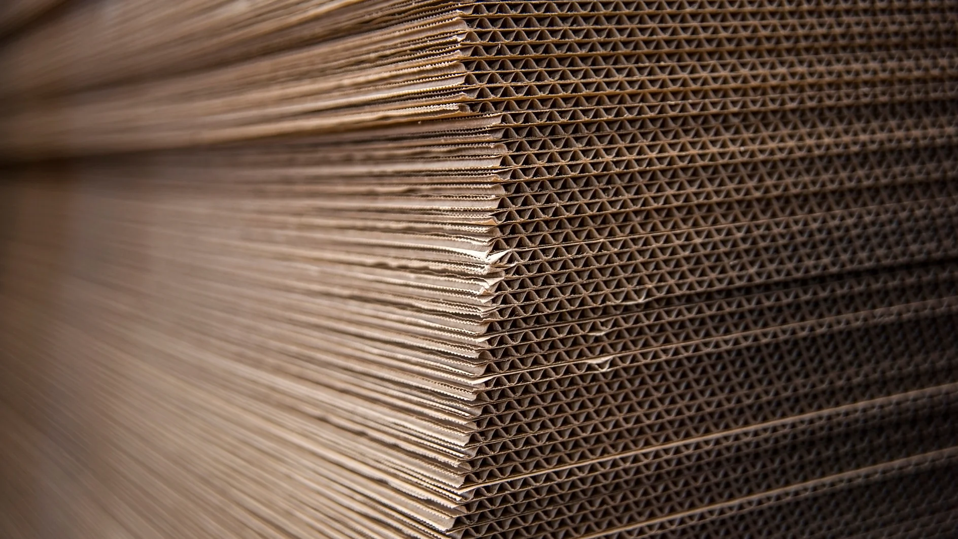 tesa® Corrugator Design Tapes