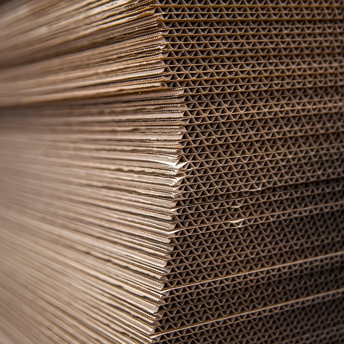 tesa® Corrugator Design Tapes