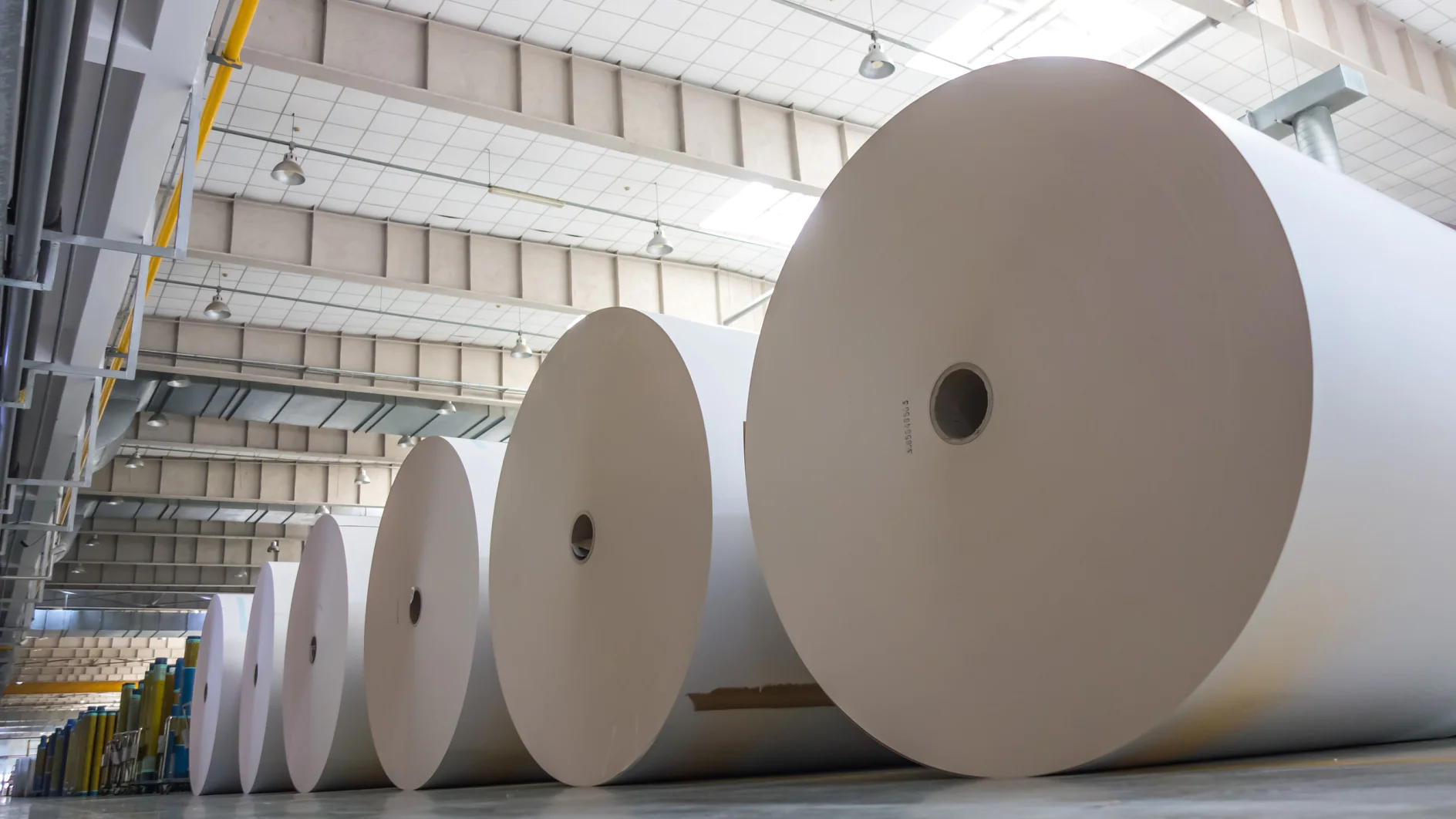 tesa® Process Tapes for Paper Production