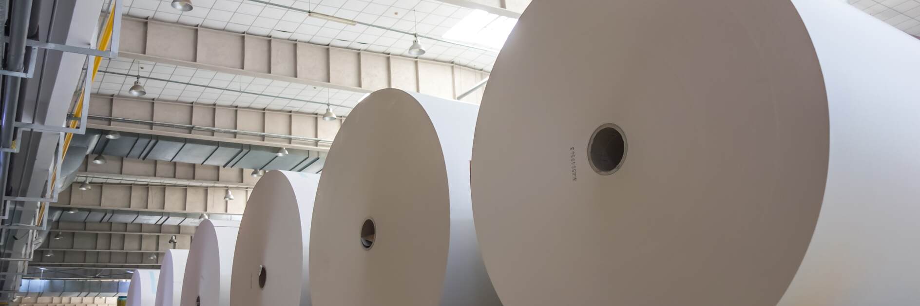 tesa® Process Tapes for Paper Production
