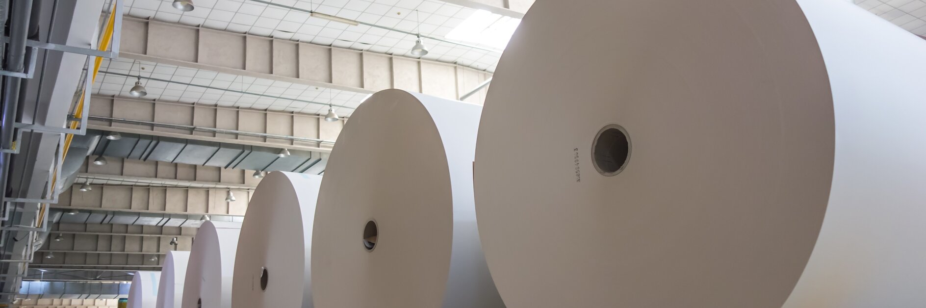 Large rolls of white paper are lined up in an industrial warehouse with a high ceiling and fluorescent lights. The floor and walls are grey, reflecting the industrial setting. (This text has been generated by AI)