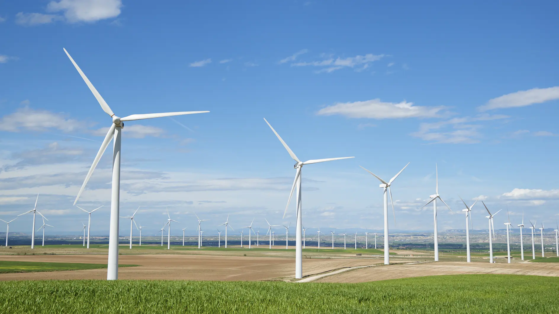 A field of white wind turbines under a blue sky with a few clouds. The turbines are positioned in rows on a vast stretch of farmland. The landscape appears green and brown, indicating a mix of grass and plowed fields. (This text has been generated by AI)