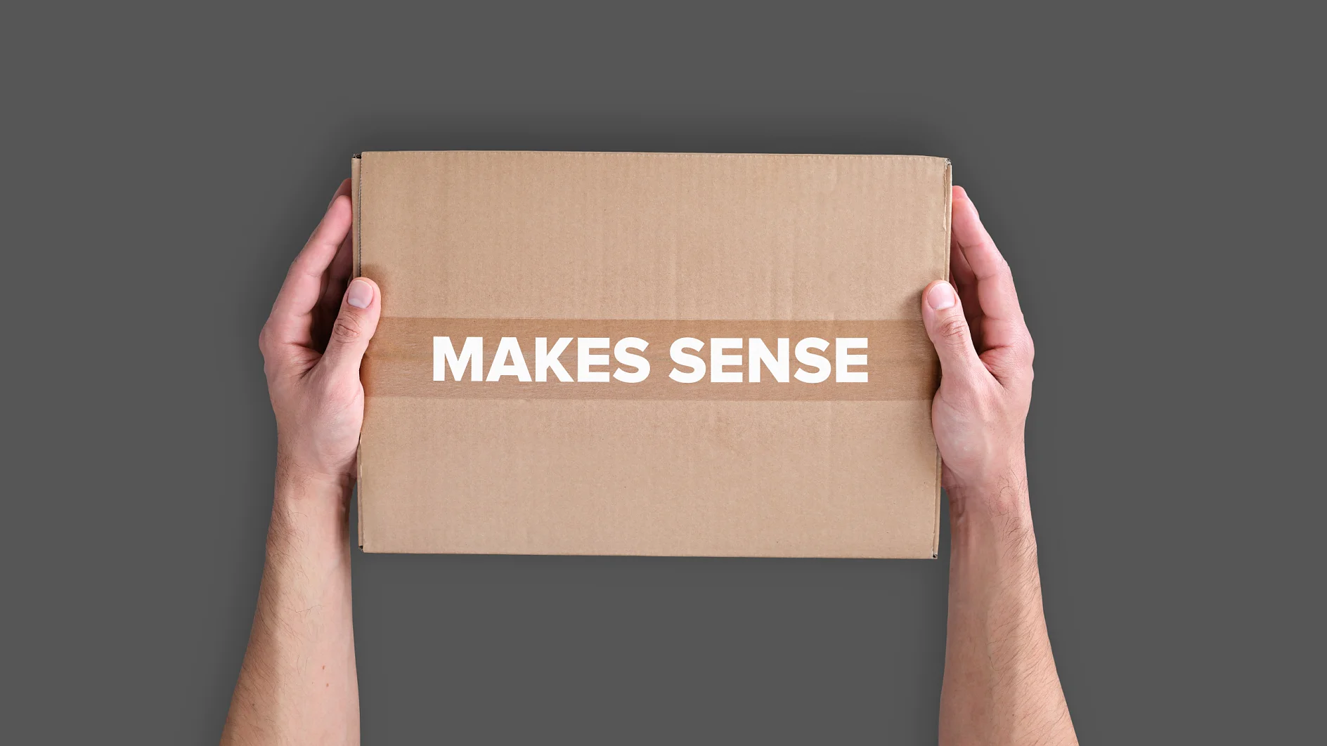 Two hands are holding a closed cardboard box against a gray background. The box has the phrase MAKES SENSE printed on it in white capital letters, sealed with tesa tape. (This text has been generated by AI)