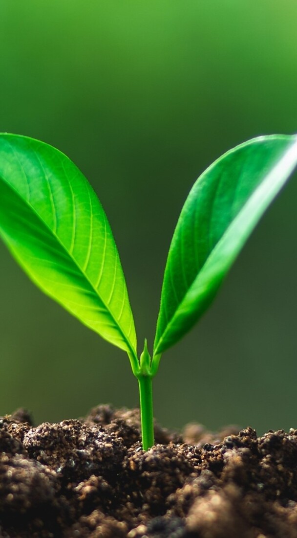 Contributing to Sustainability in the Wire Harnessing Industry tesa