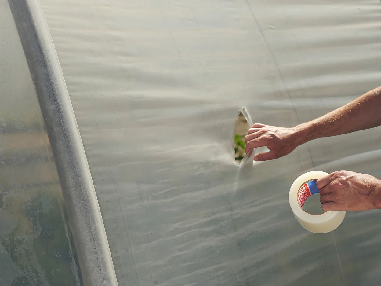 tesa-04646-greenhouse-repairing-tape-step1of5-ap